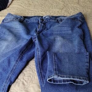 Lane Bryant Blue Skinny Jeans Classic Design